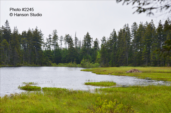 Pittsburg, NH - 4th Connecticut Lake